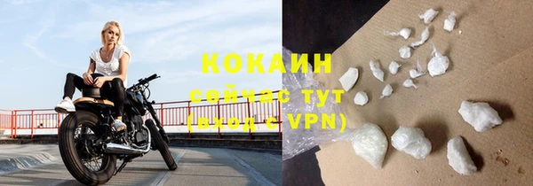 СК Коряжма