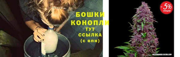 СК Коряжма